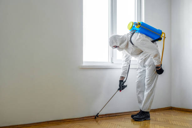 Best Commercial Pest Control  in Nevada, IA